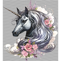 Rainbow Horse-RH 608